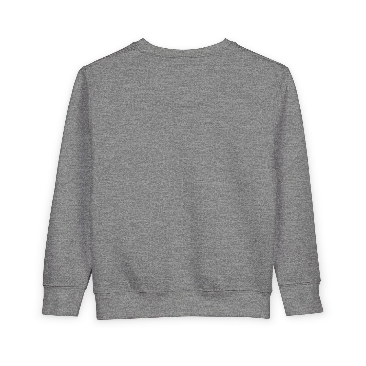 Onzu Toddler Sweatshirt