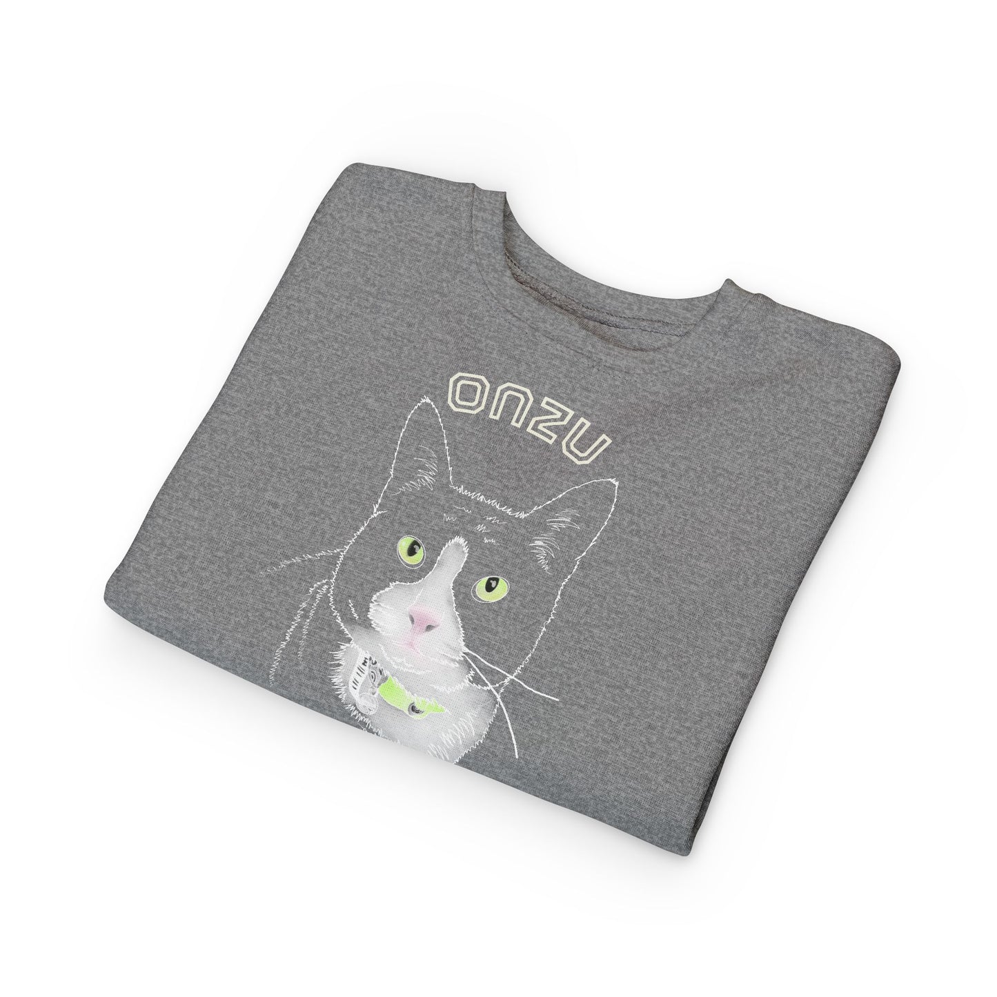Onzu Toddler Sweatshirt